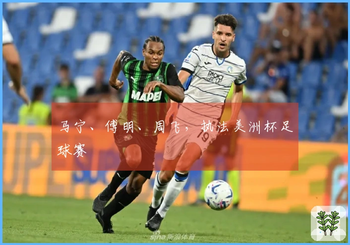 马宁、傅明、周飞，执法美洲杯足球赛