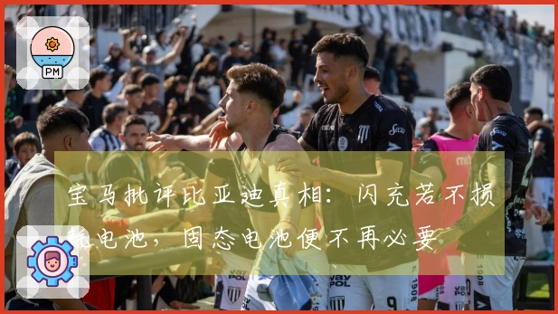 宝马批评比亚迪真相：闪充若不损耗电池，固态电池便不再必要